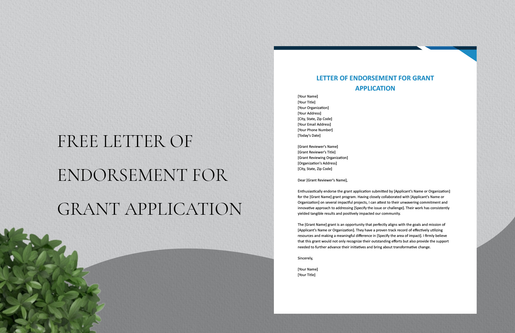 Letter Of Endorsement For Grant Application in Word, Google Docs - Download | Template.net