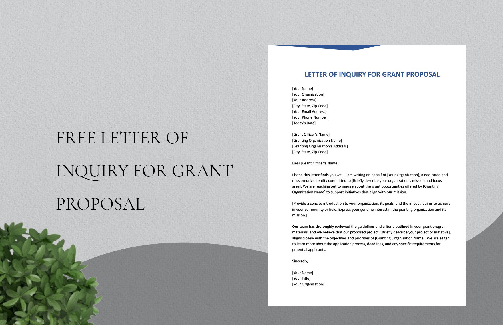 Letter Of Inquiry For Grant Proposal