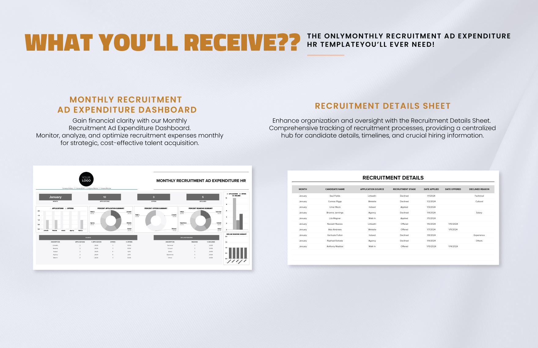 Monthly Recruitment Ad Expenditure HR Template