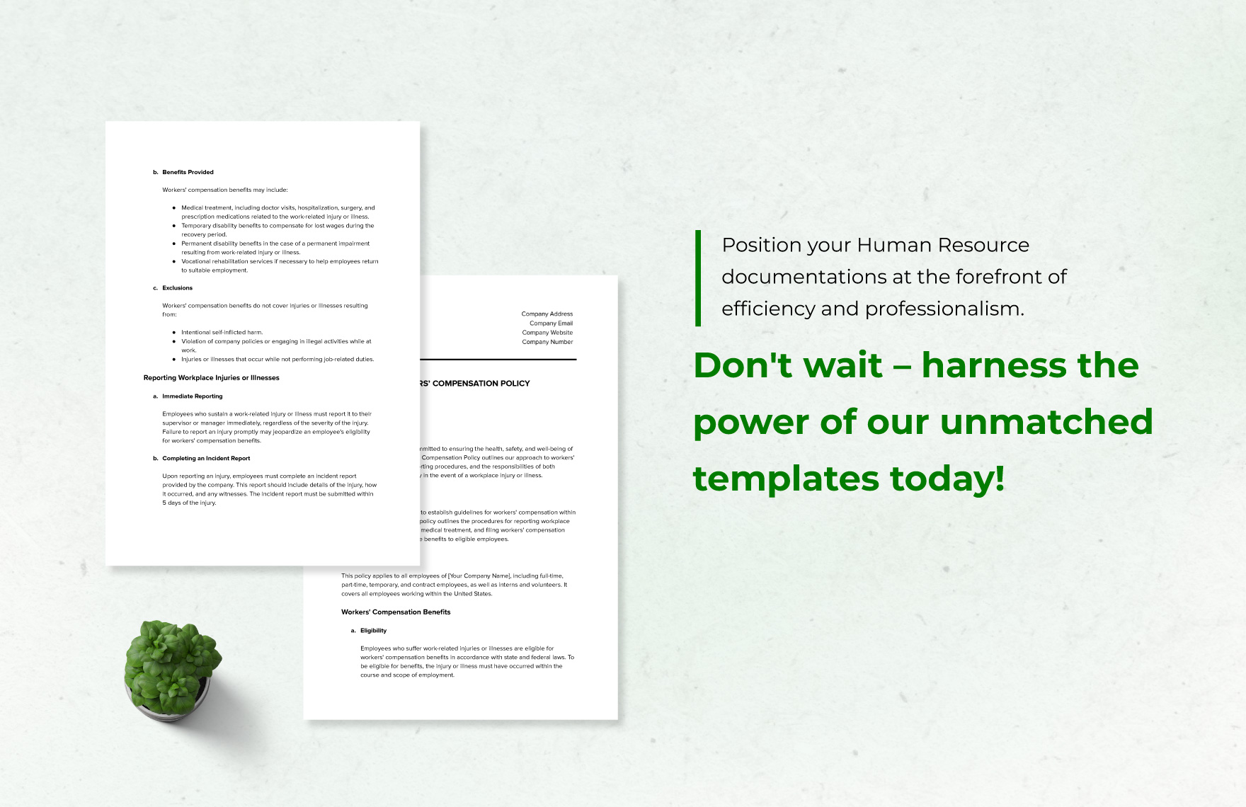 Workers' Compensation Policy HR Template
