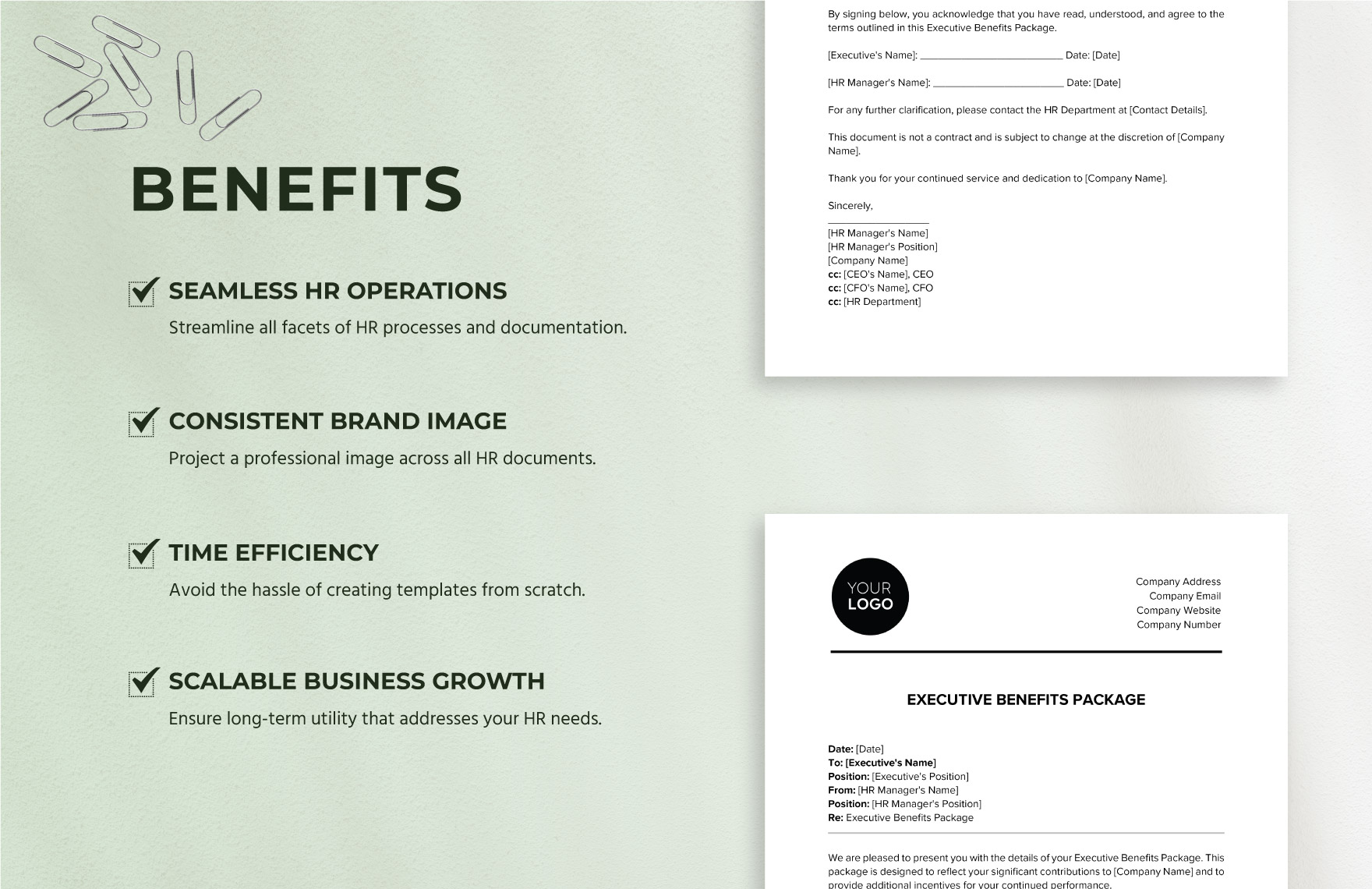 Executive Benefits Package HR Template