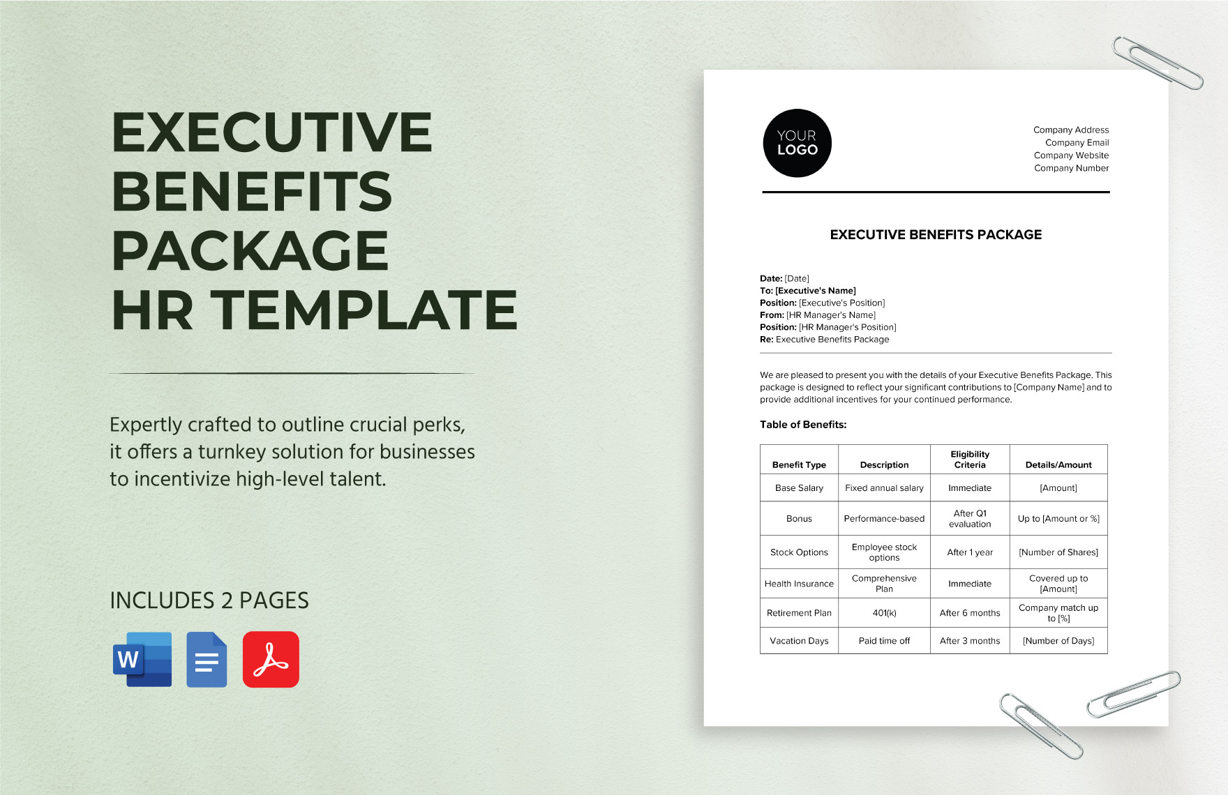 Executive Benefits Package HR Template in Word, Google Docs, PDF