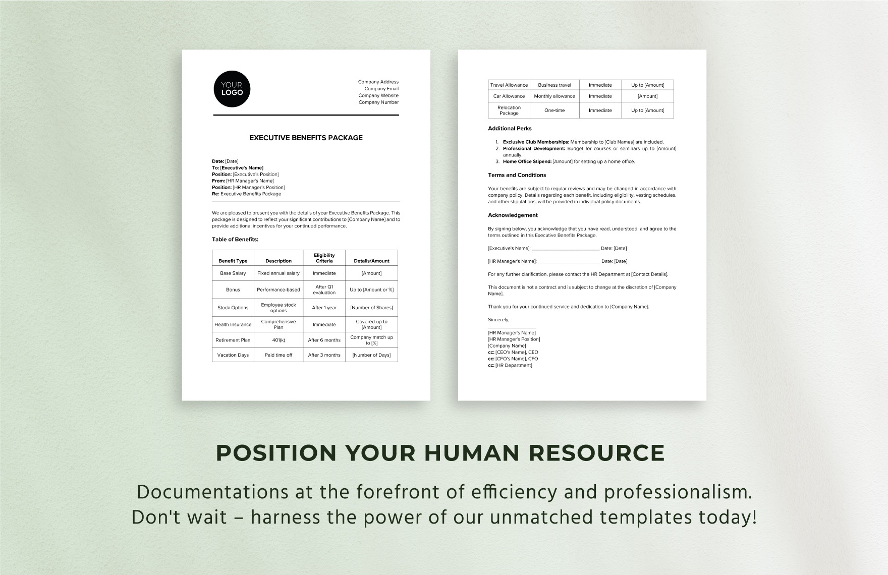 Executive Benefits Package HR Template