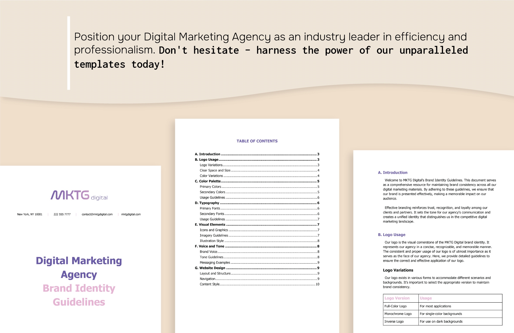 Digital Marketing Agency Brand Identity Guidelines Template