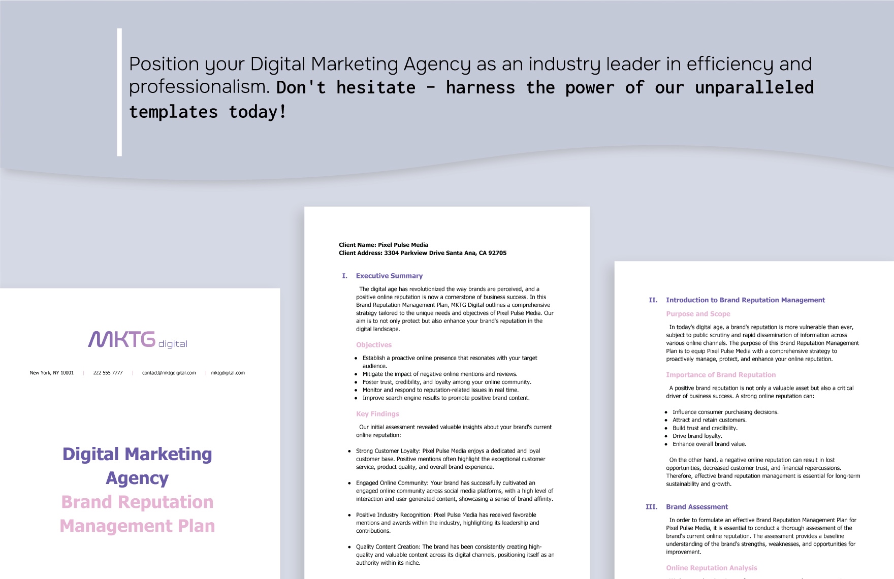 Digital Marketing Agency Brand Reputation Management Plan Template