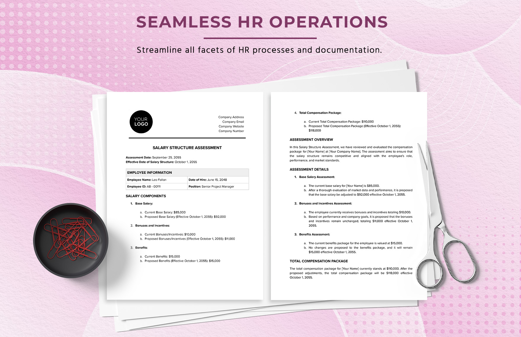 Salary Structure Assessment HR Template