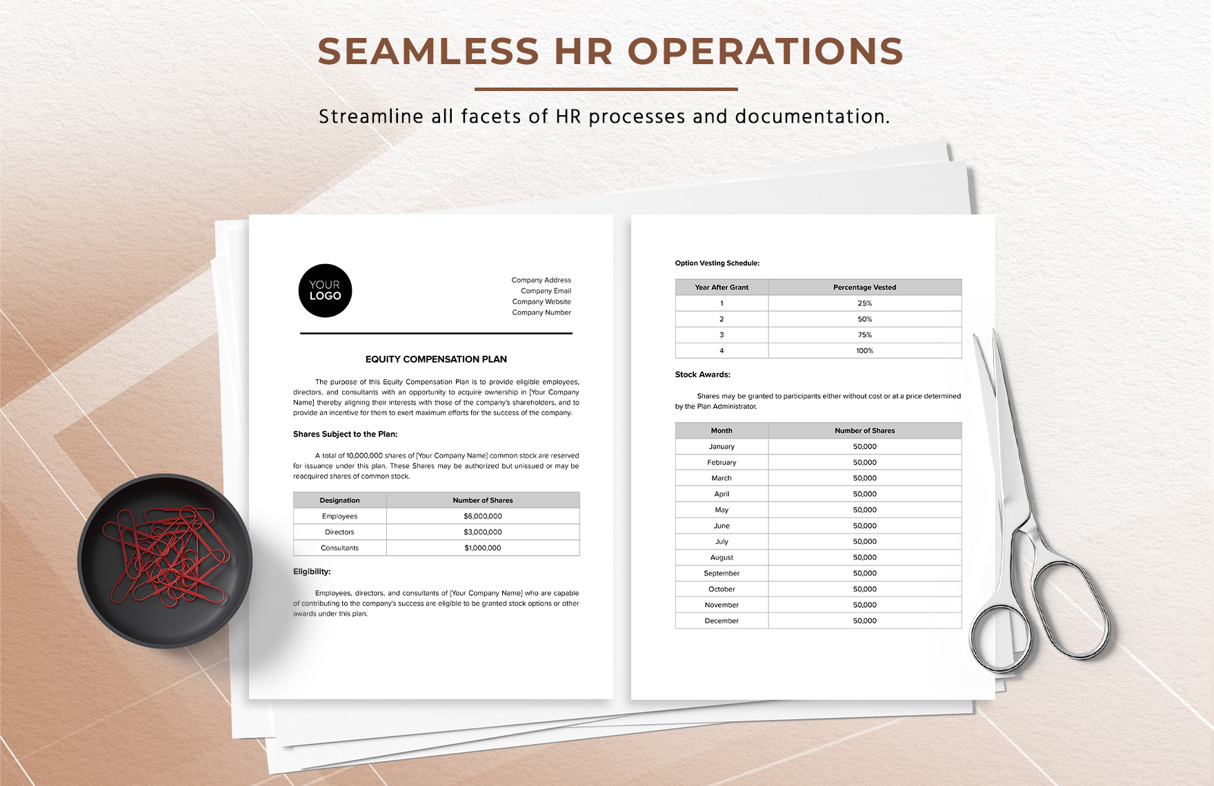 Equity Compensation Plan HR Template