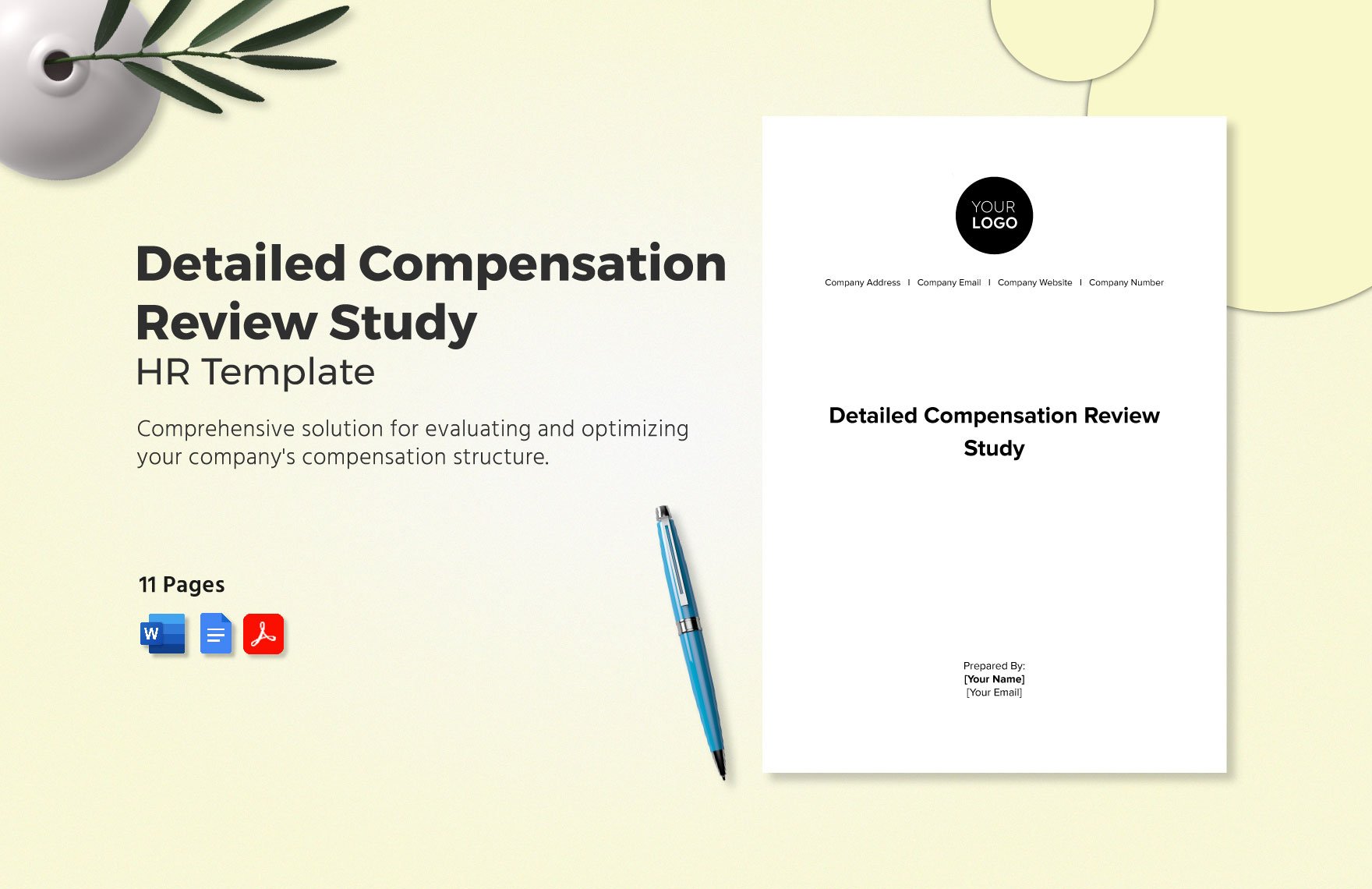 Detailed Compensation Review Study HR Template in Word, Google Docs, PDF