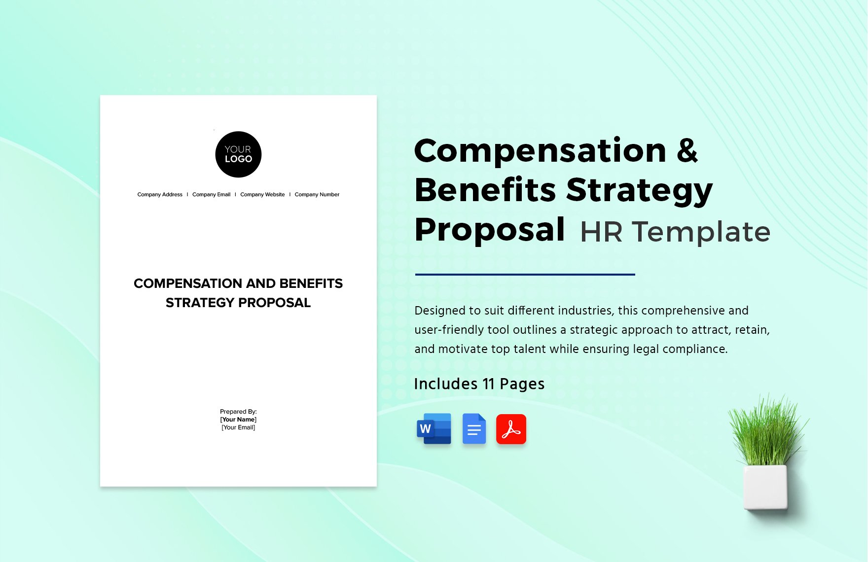 Compensation & Benefits Strategy Proposal HR Template