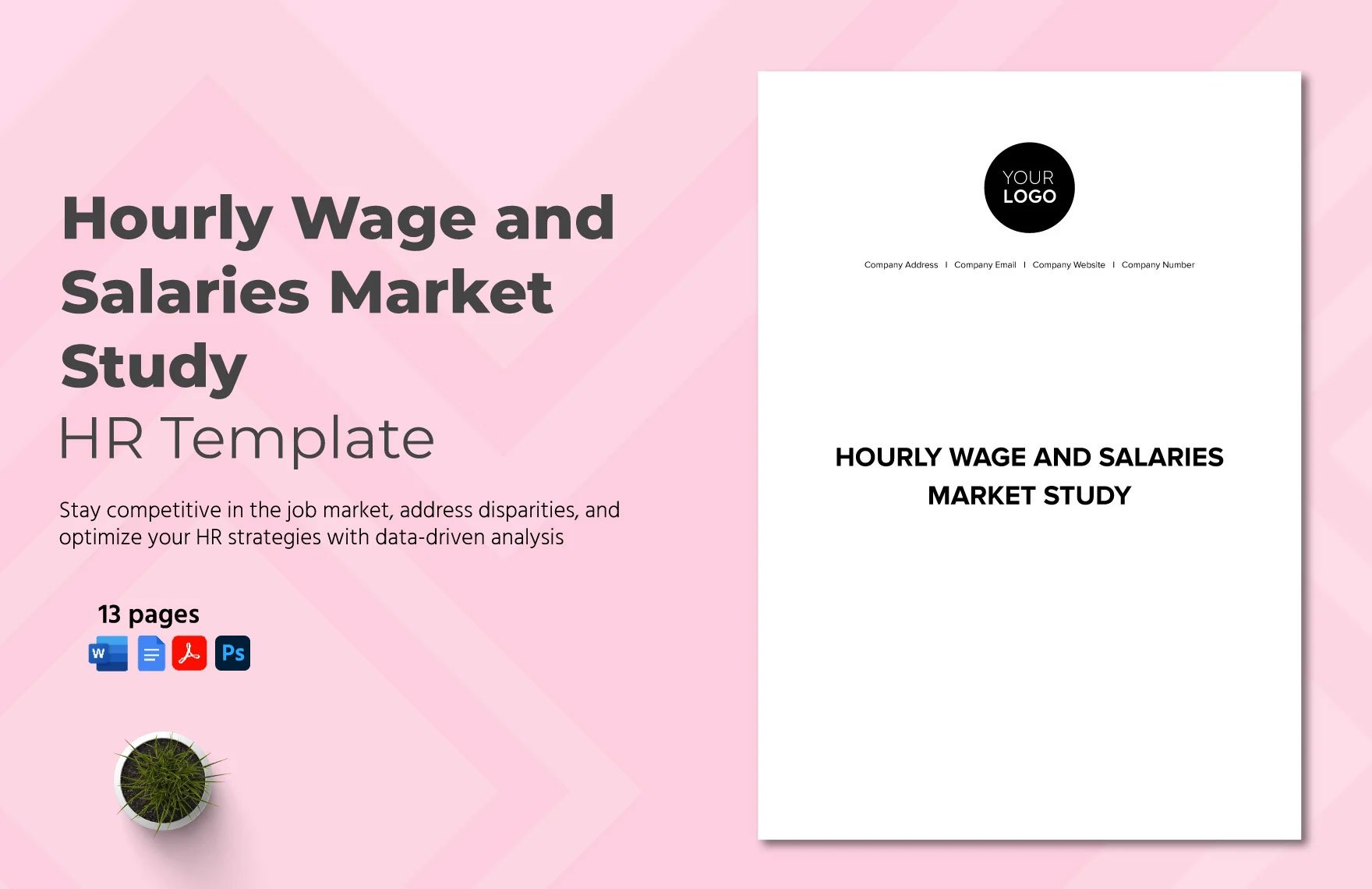 Hourly Wage and Salaries Market Study HR Template