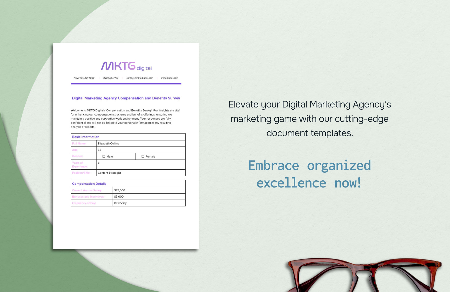 Digital Marketing Agency Compensation and Benefits Survey HR Template