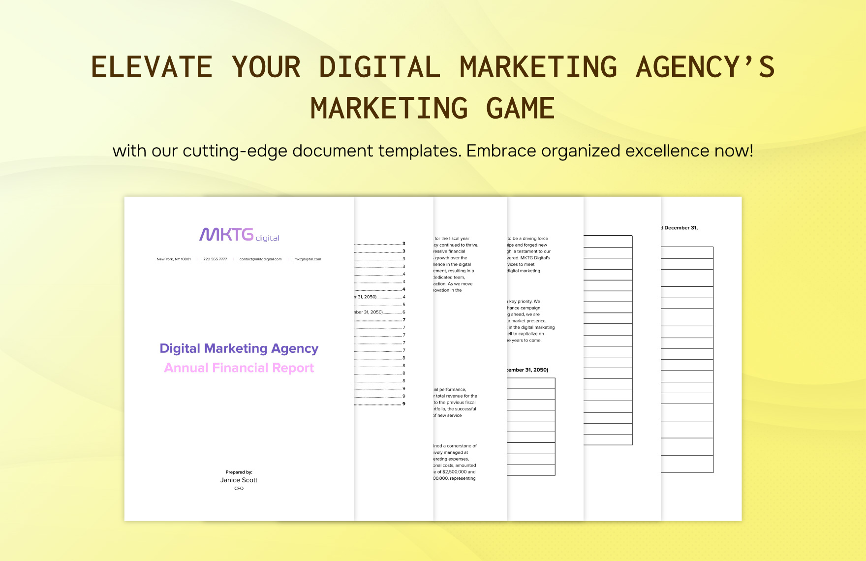 Digital Marketing Agency Annual Financial Report Template