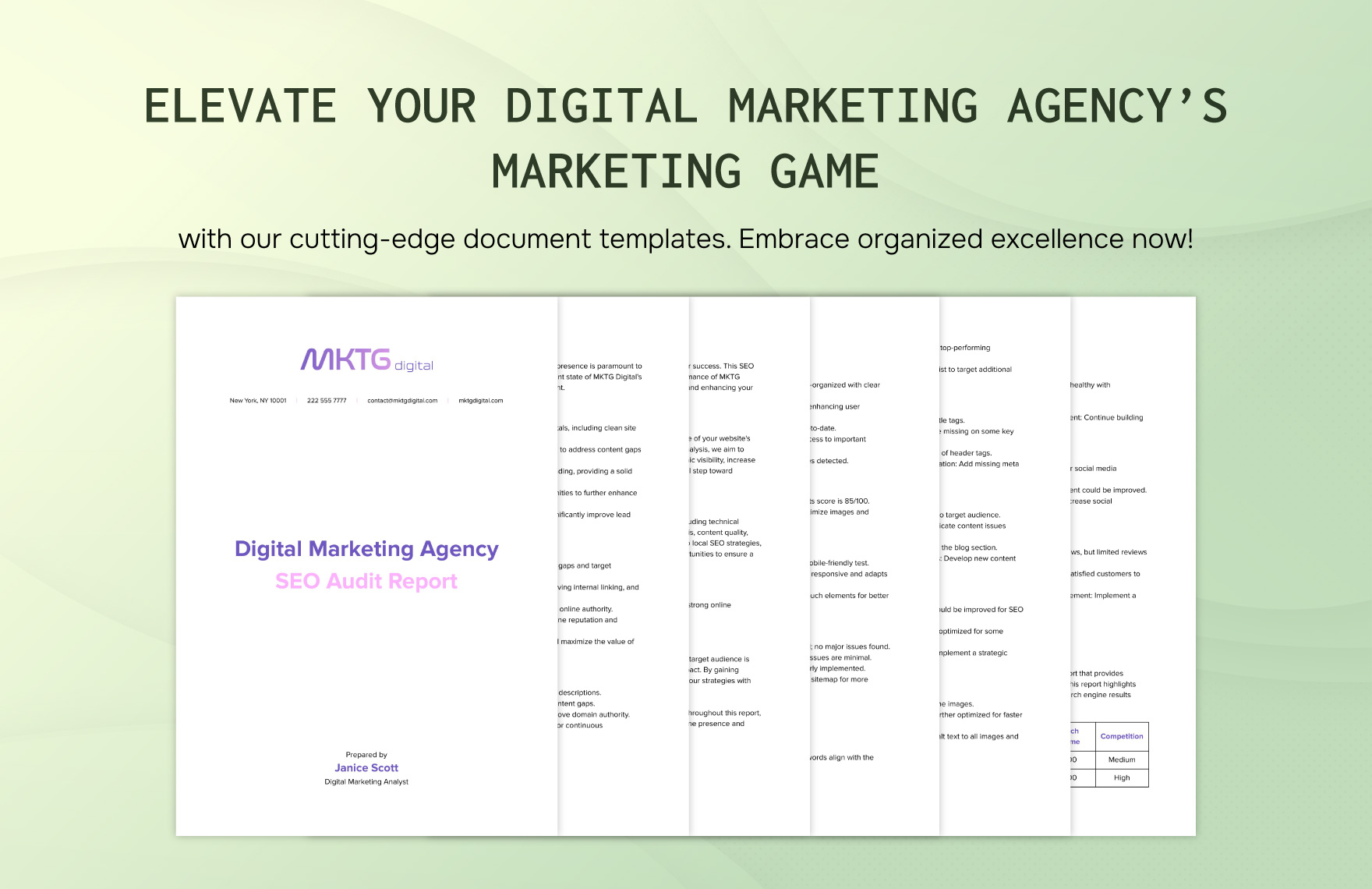 Digital Marketing Agency SEO Audit Report Template
