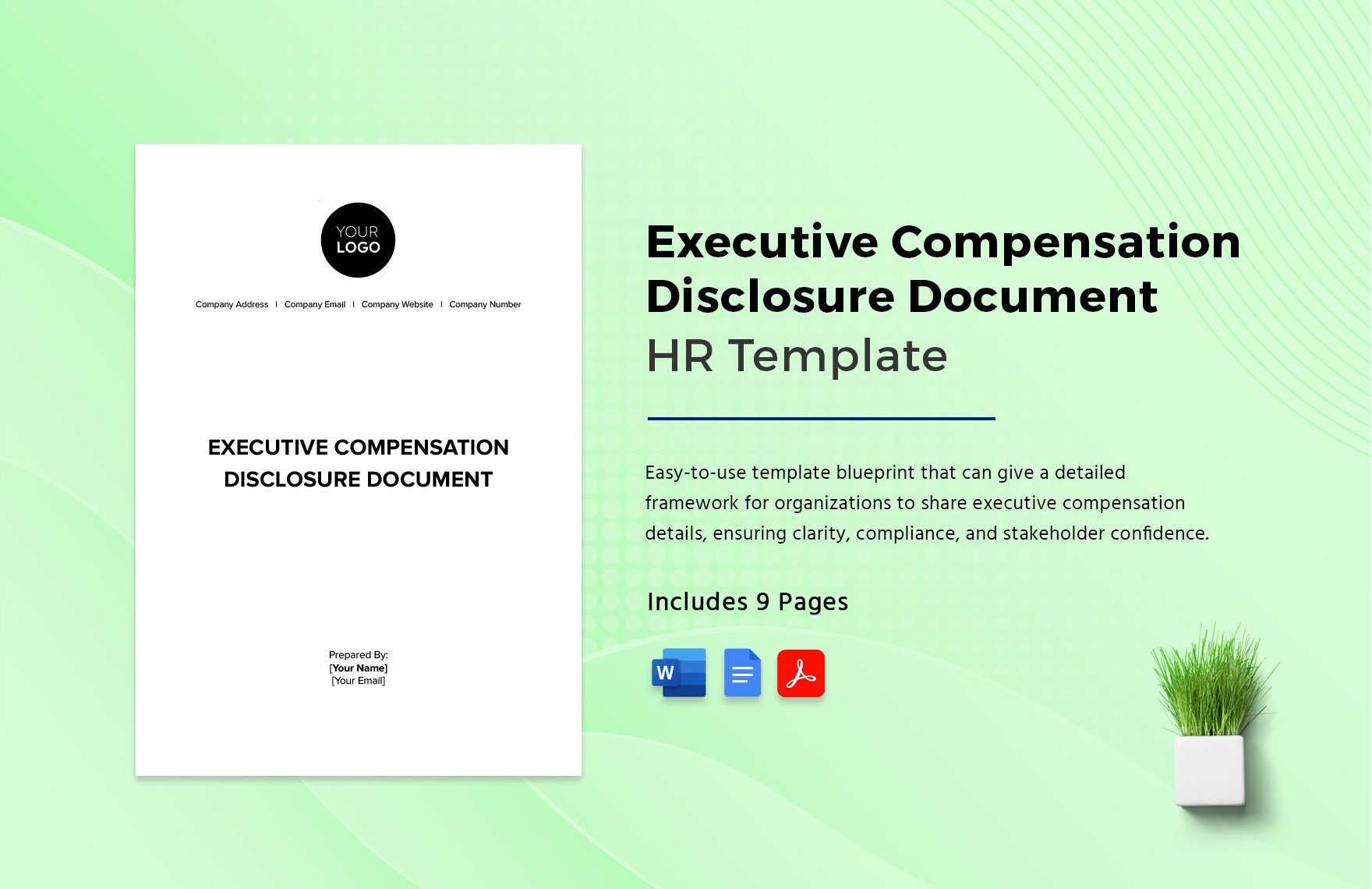 Executive Compensation Disclosure Document HR Template in Word, Google Docs, PDF, PowerPoint