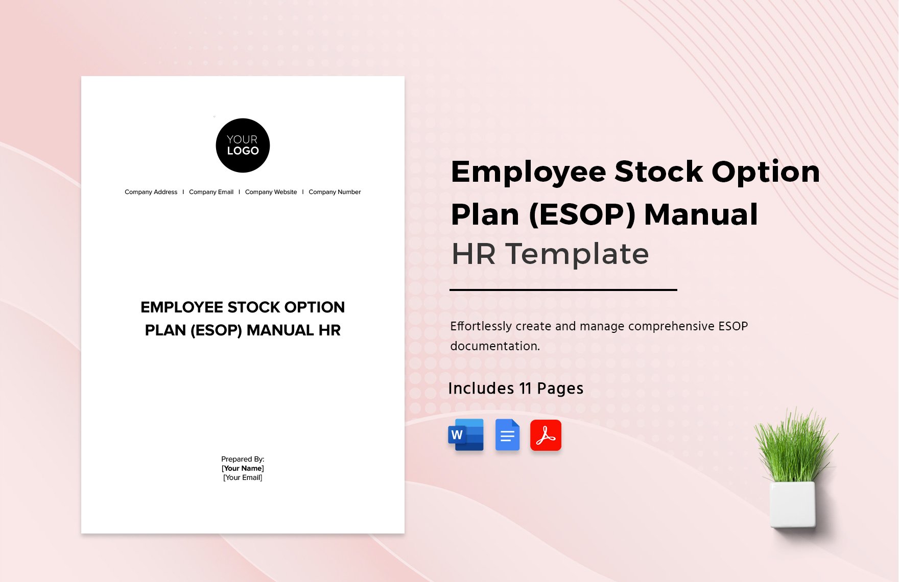 Employee Stock Option Plan (ESOP) Manual HR Template in Word, Google Docs, PDF