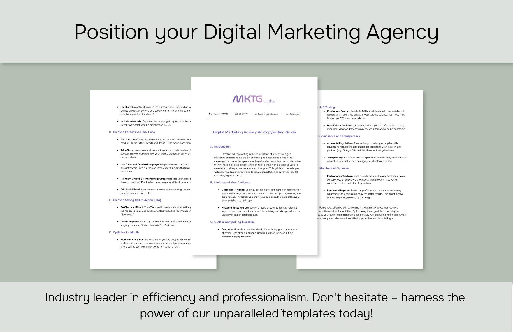 Digital Marketing Agency Ad Copywriting Guide Template