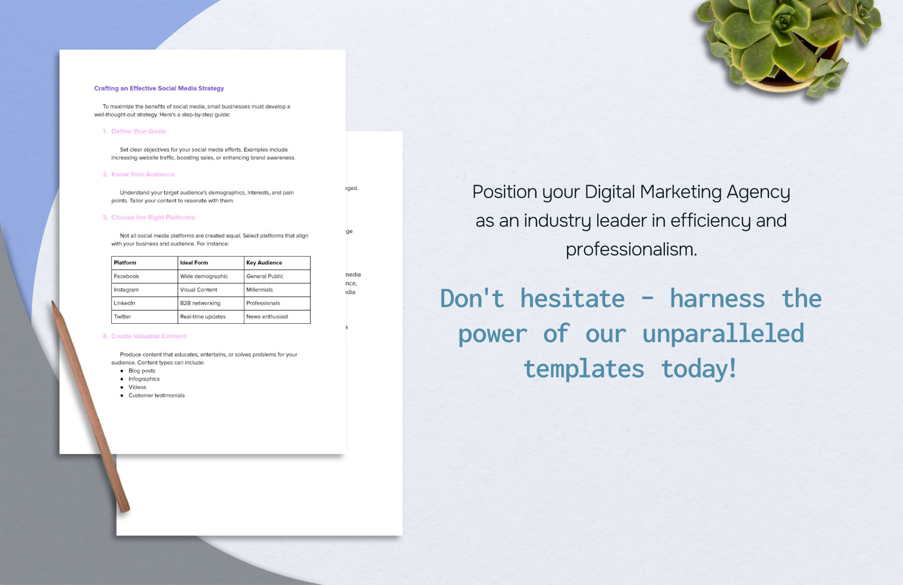 Digital Marketing Agency Google Ads Campaign Planner Template