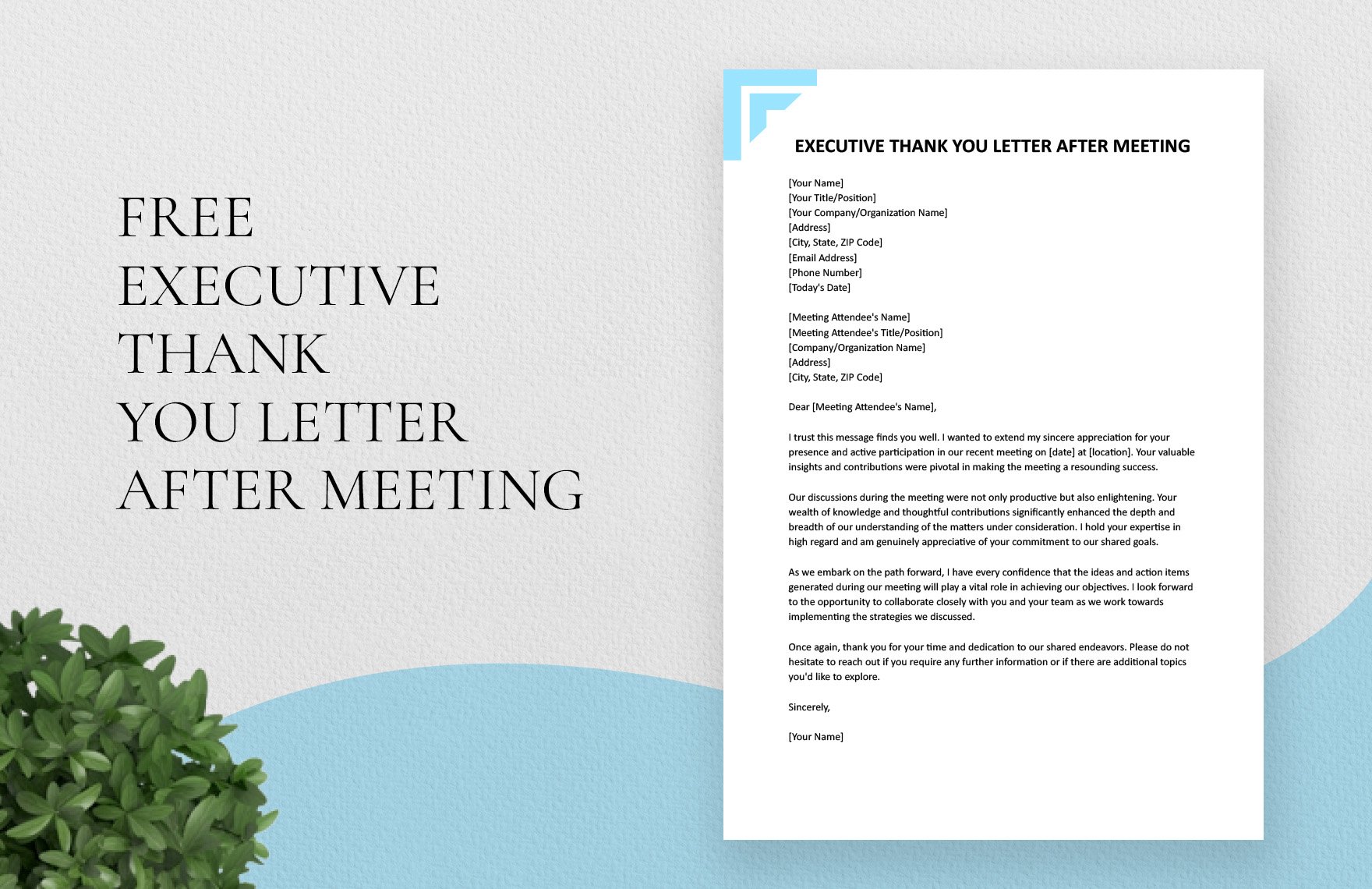 Executive Thank You Letter After Meeting