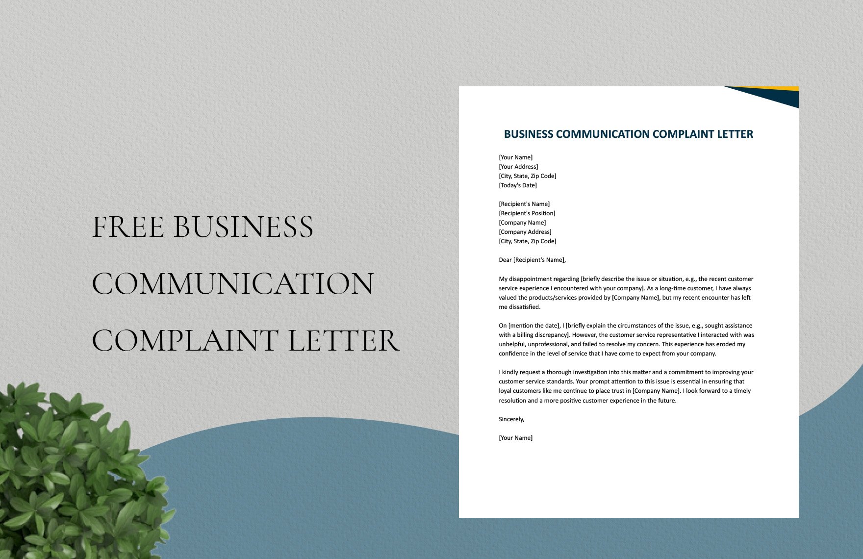 Business Communication Complaint Letter