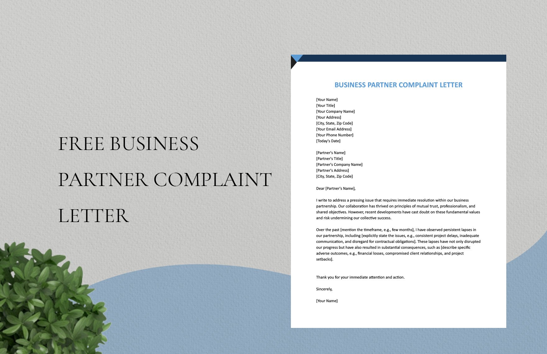 Business Partner Complaint Letter