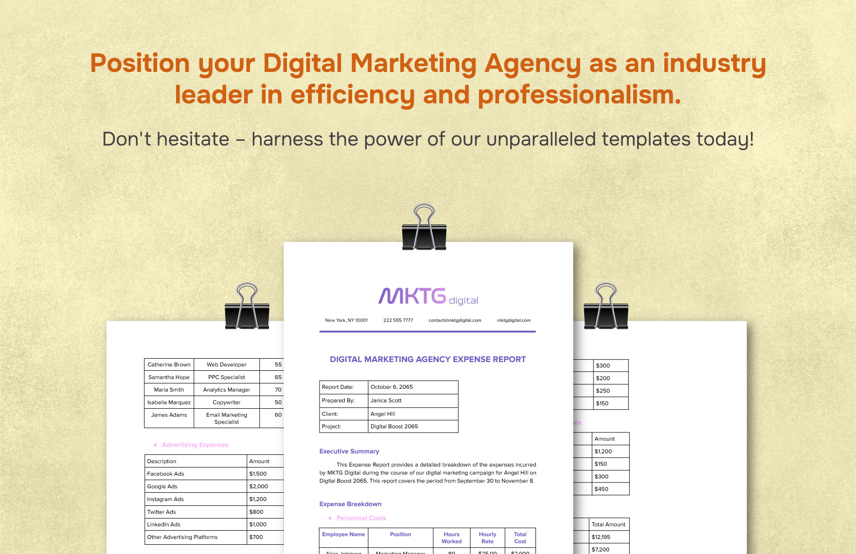 Digital Marketing Agency Expense Report Template