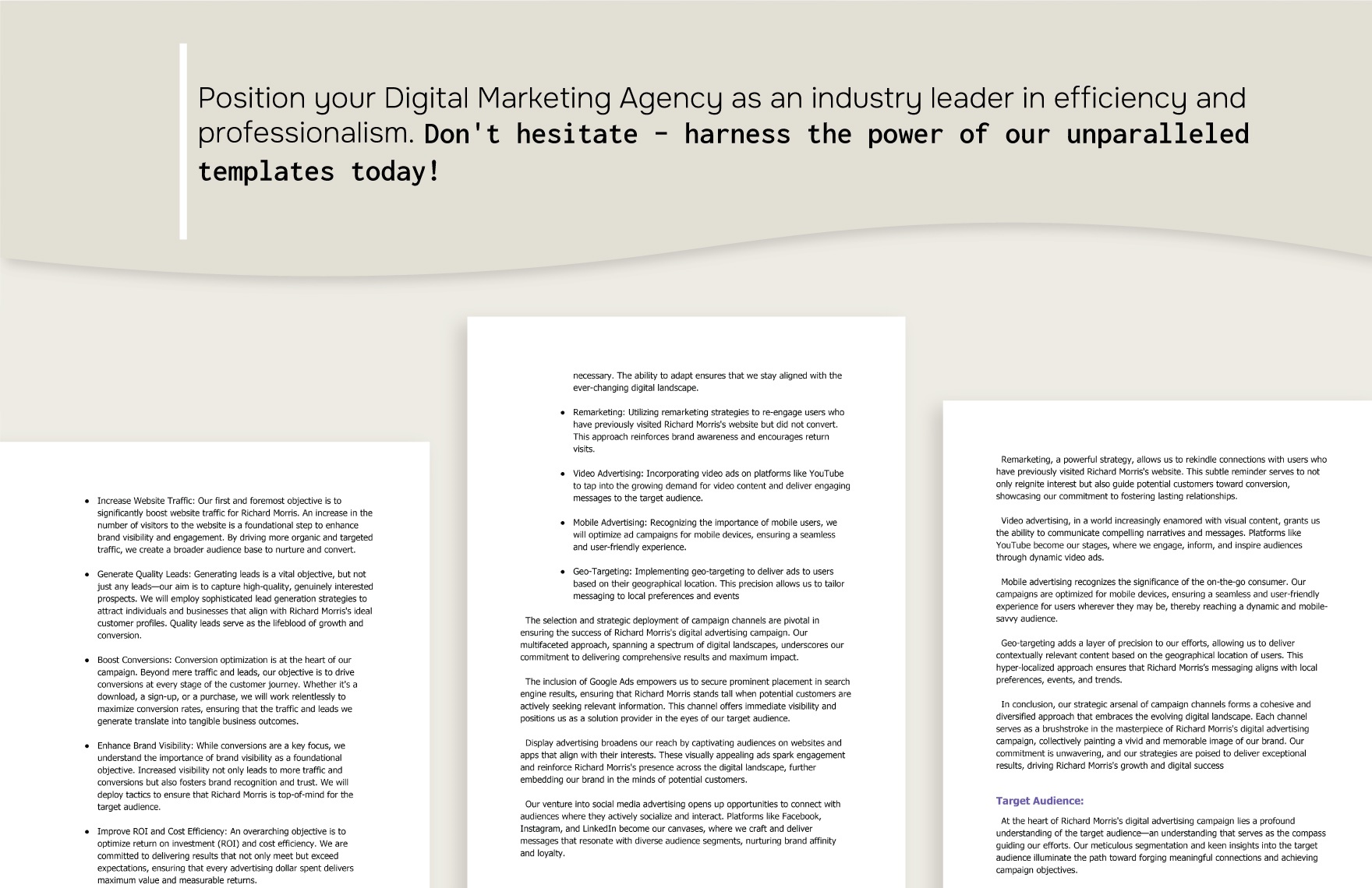 Digital Marketing Agency Paid Advertising Campaign Plan Template