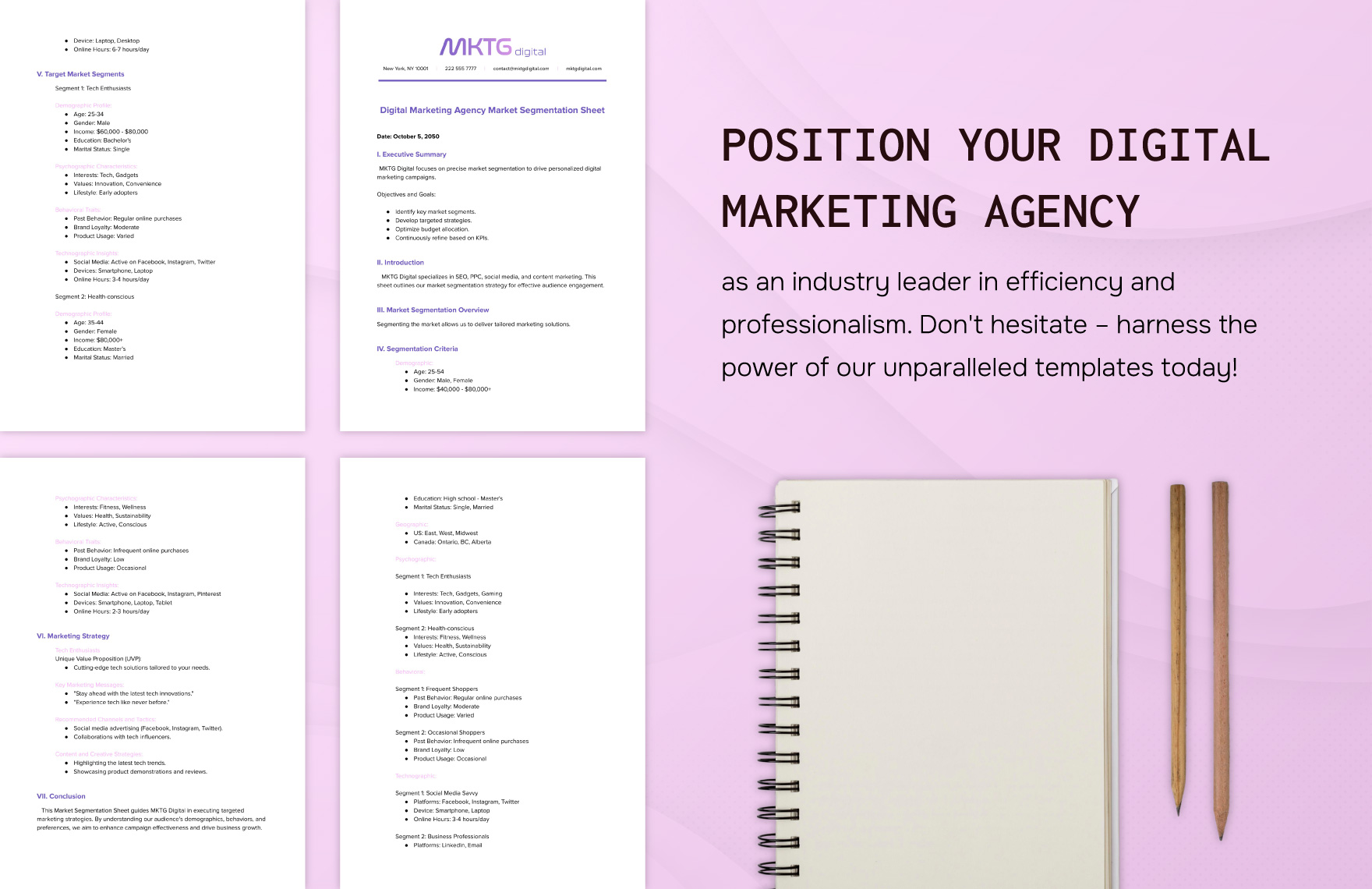 Digital Marketing Agency Market Segmentation Sheet Template