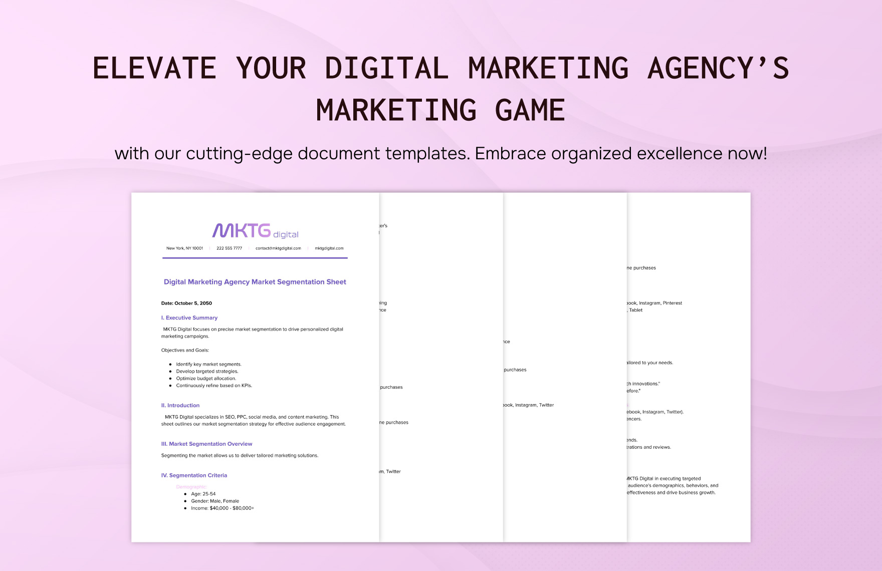Digital Marketing Agency Market Segmentation Sheet Template