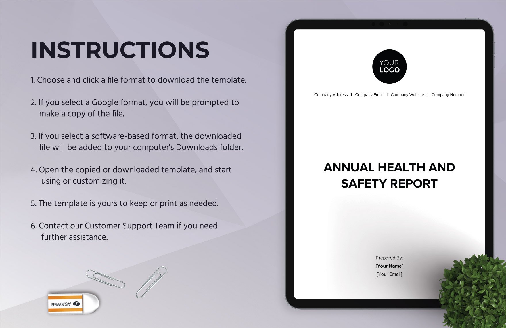 Annual Health and Safety Report HR Template