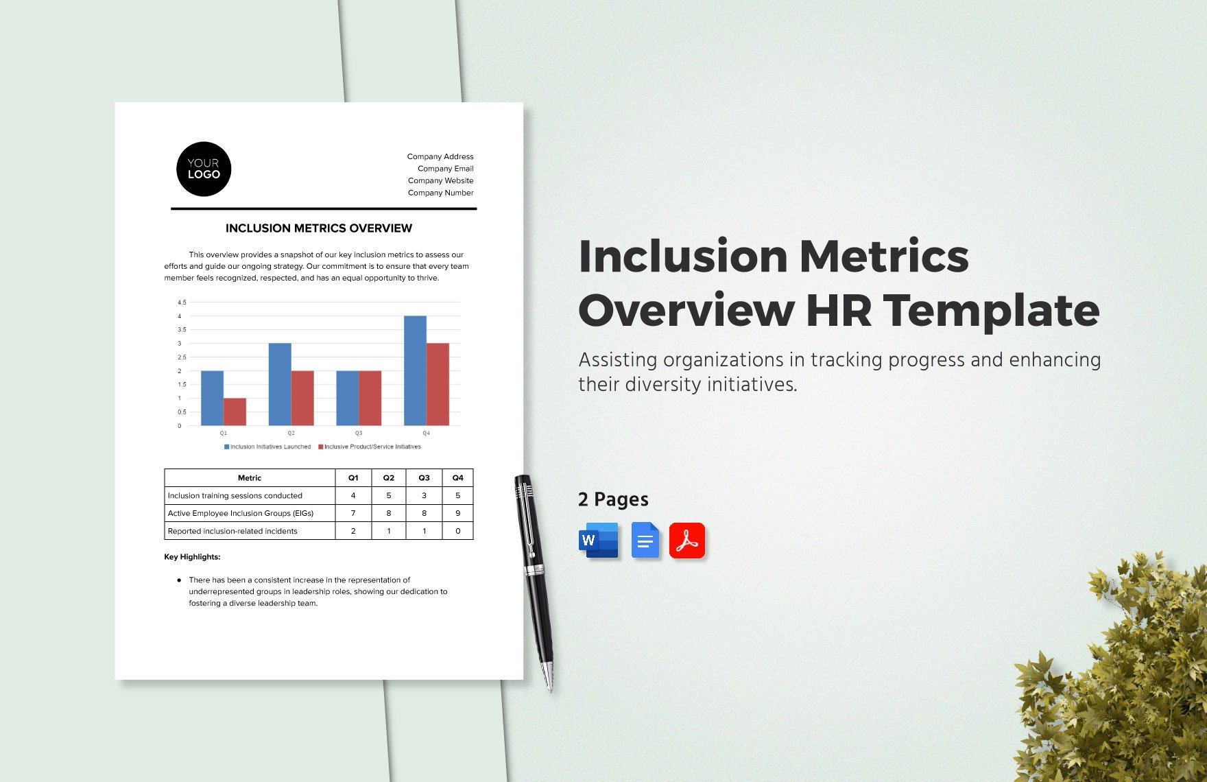 Inclusion Metrics Overview HR Template