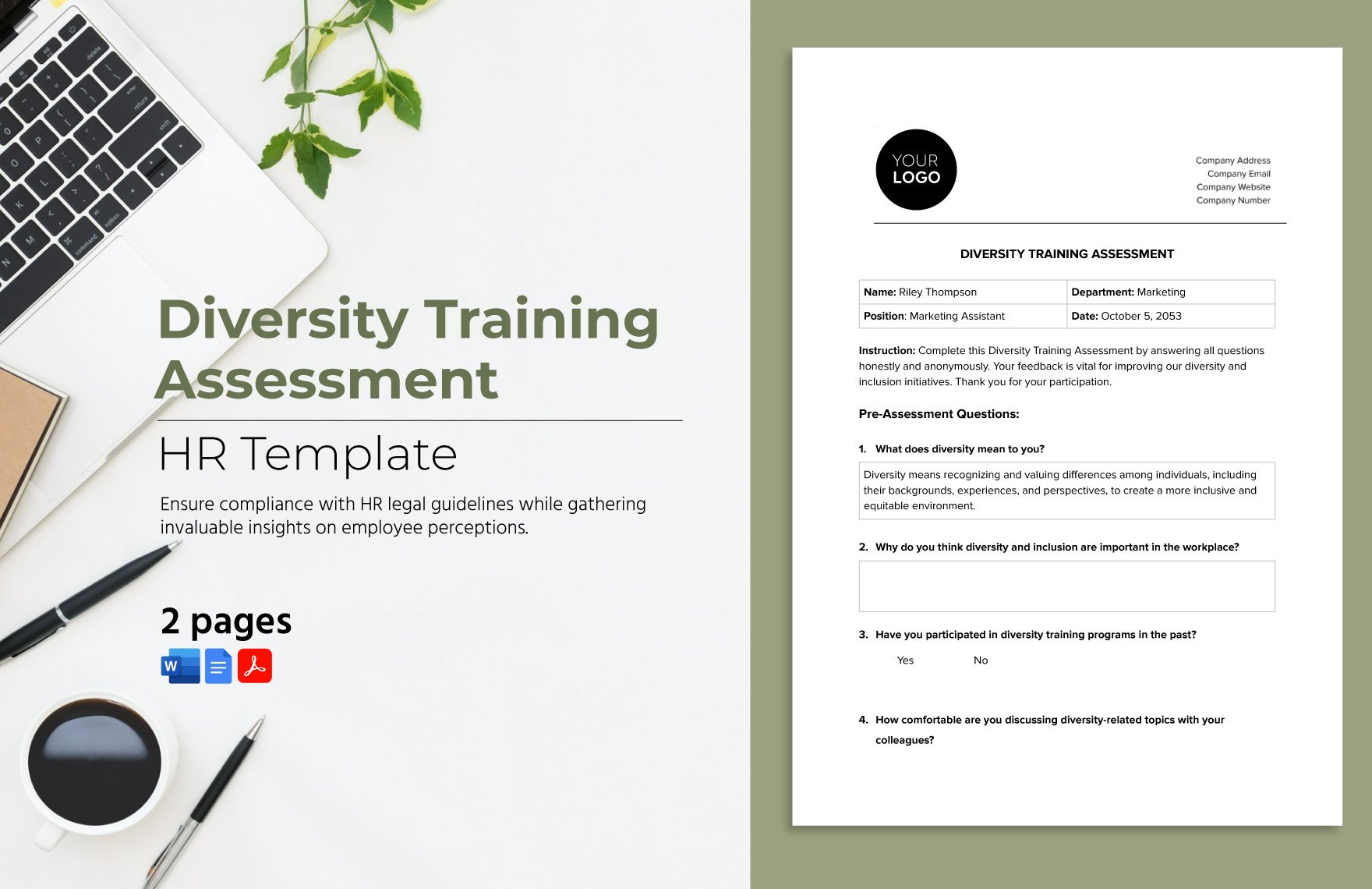 Diversity Training Assessment HR Template