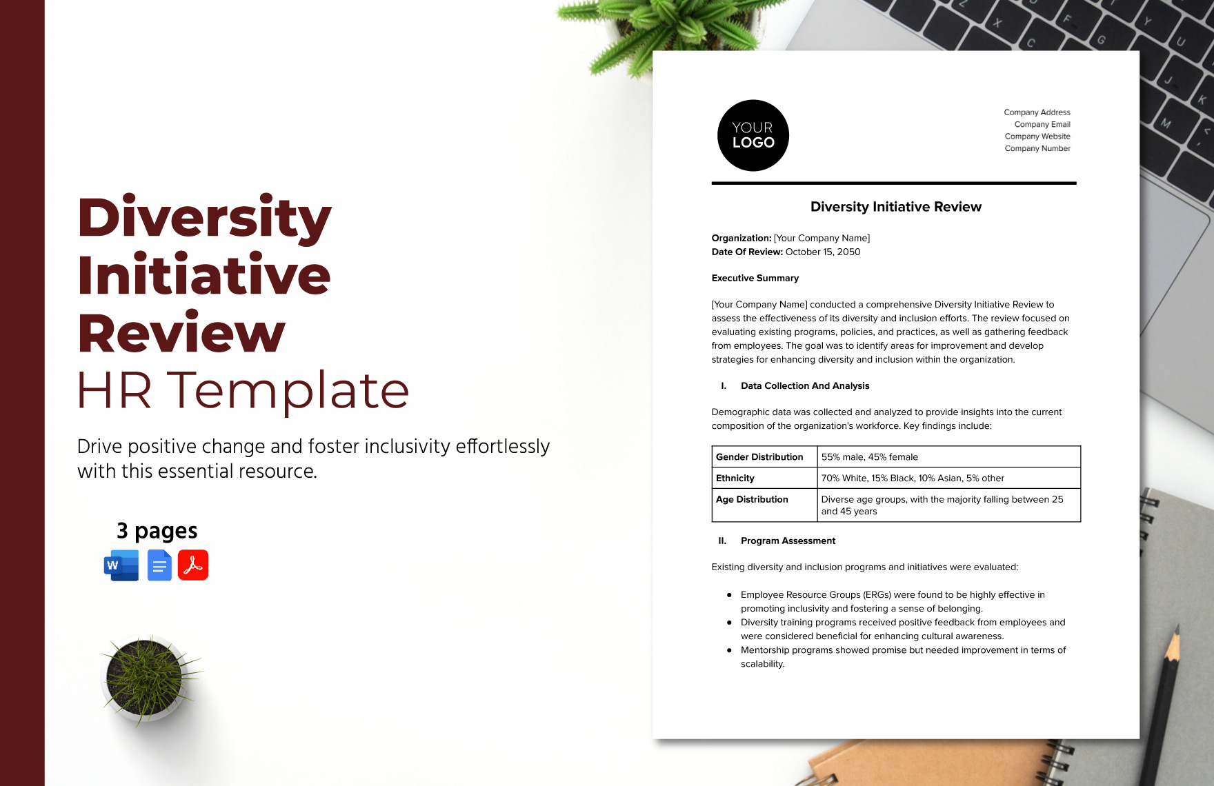 Diversity Initiative Review HR Template in Word, Google Docs, PDF