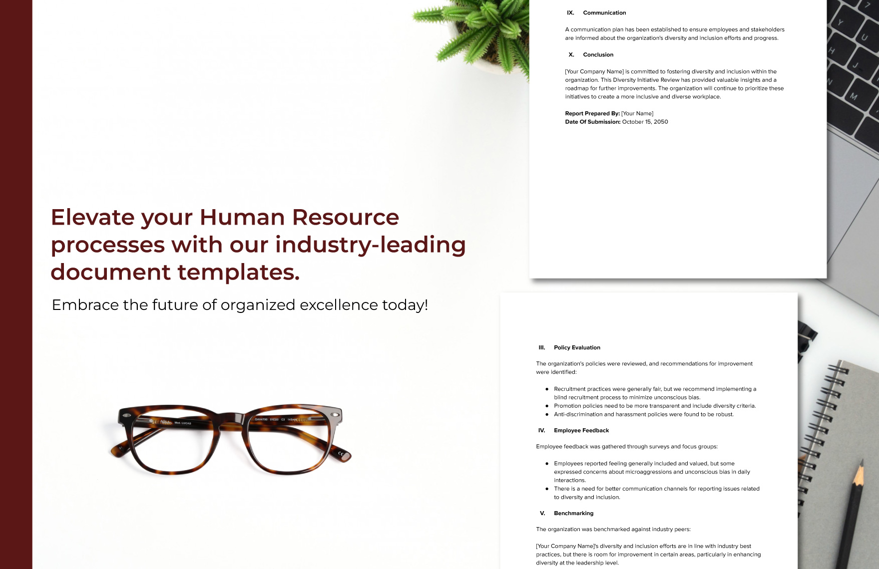 Diversity Initiative Review HR Template