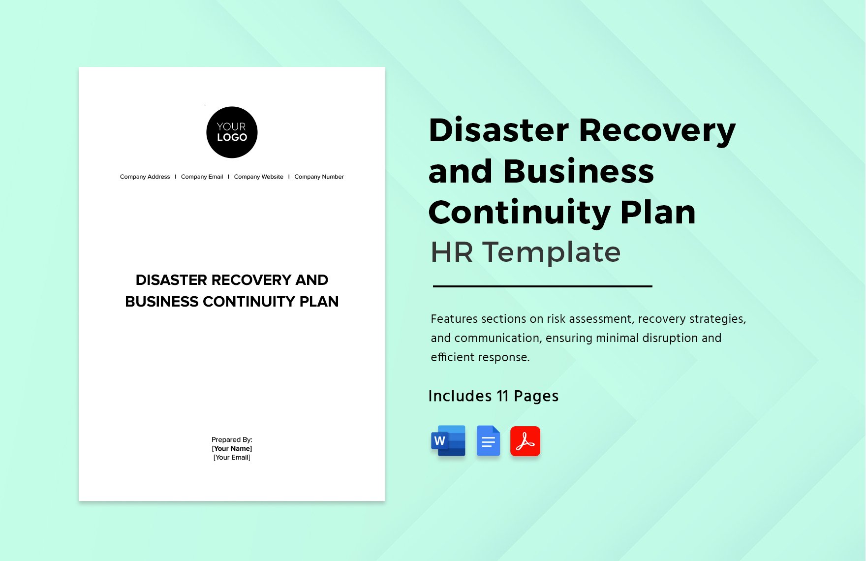 Disaster Recovery and Business Continuity Plan HR Template