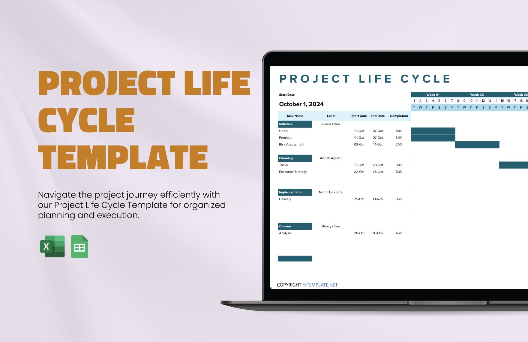 Project Life Cycle Template