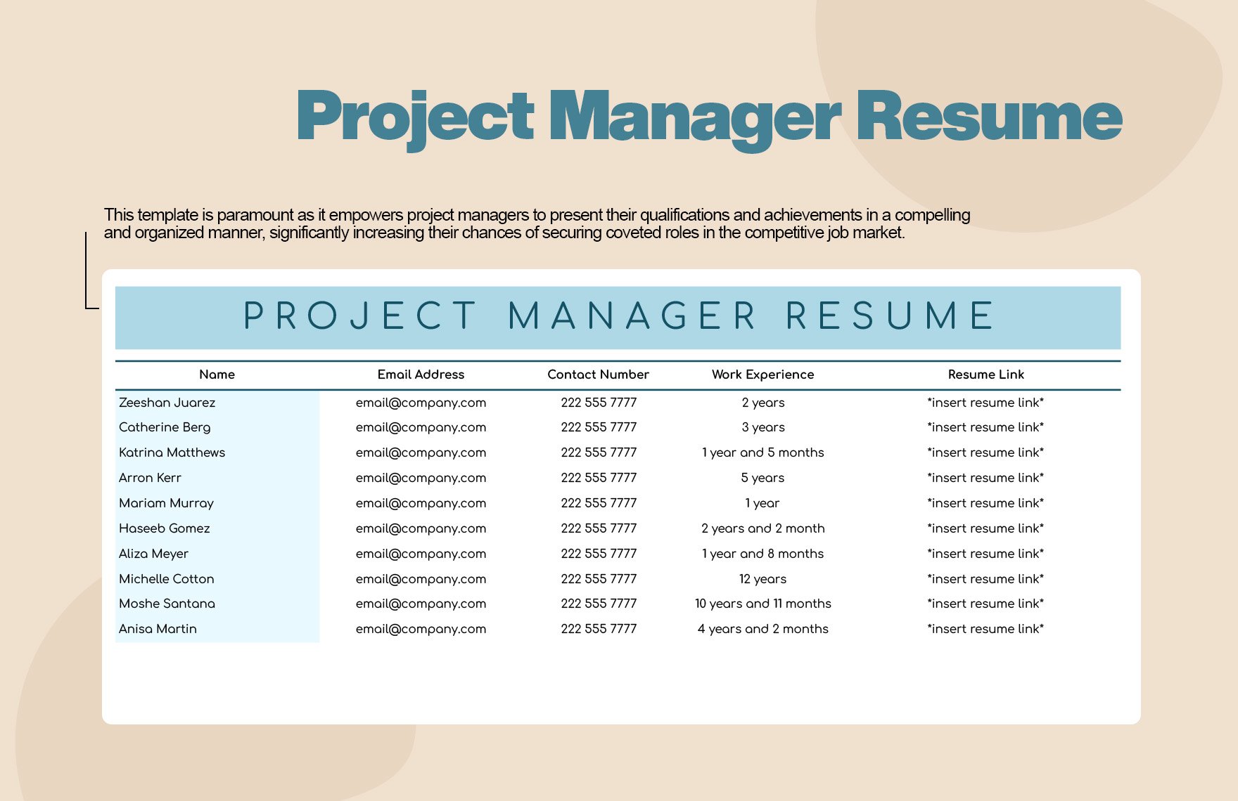 Project Manager Resume Template