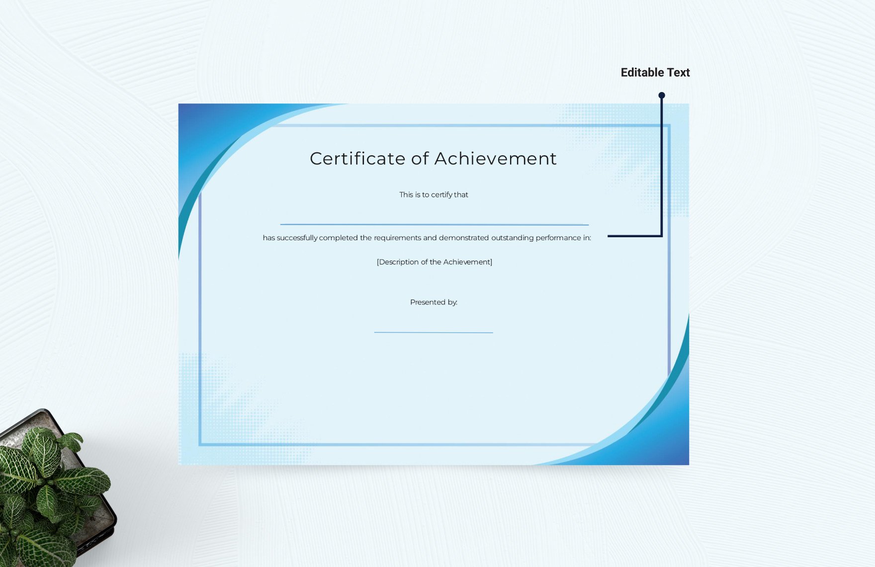 Blank Certificate Template
