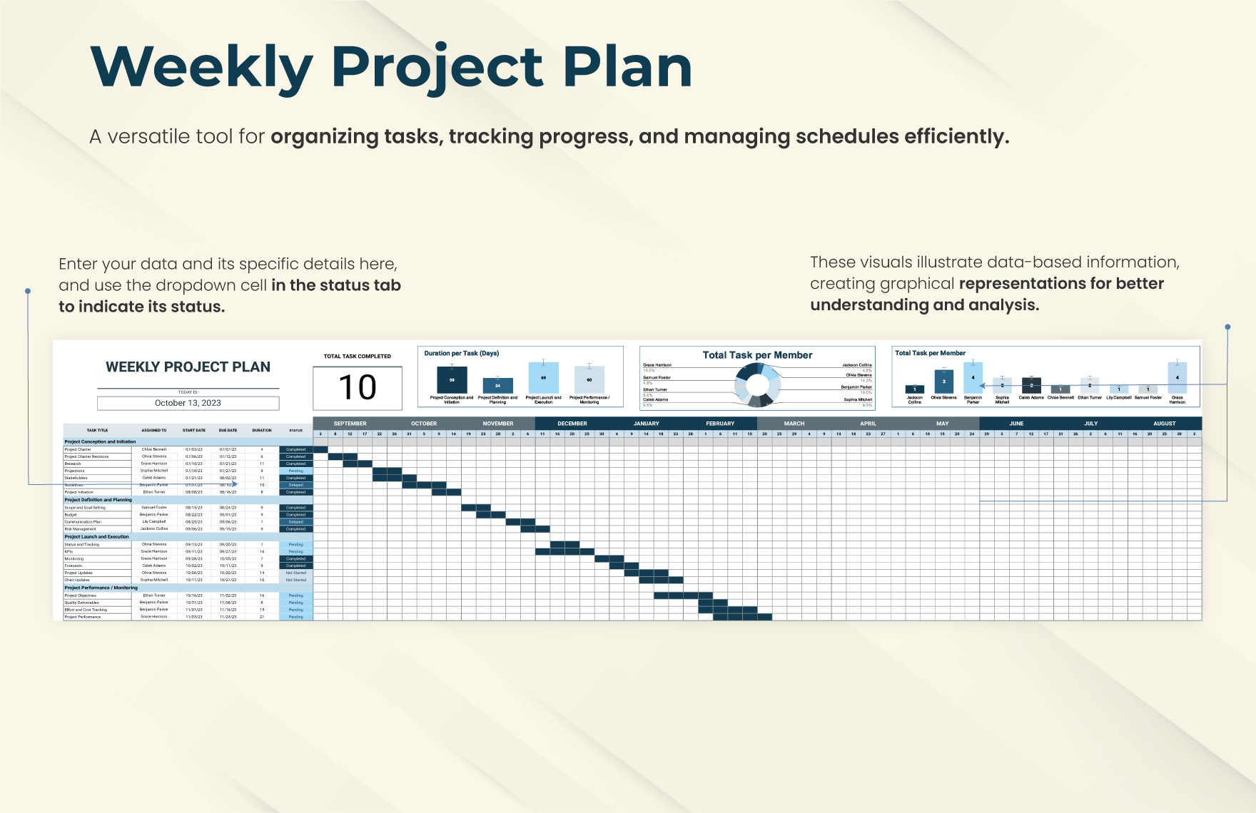 Weekly Project Plan Template
