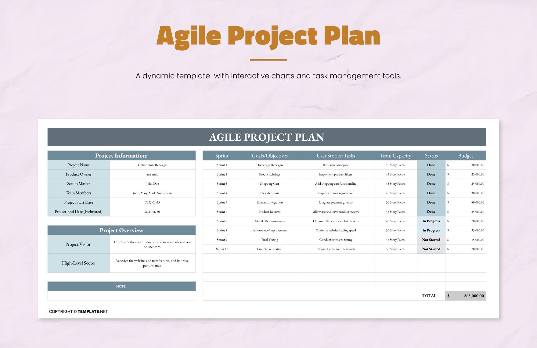 Agile Project Plan Template