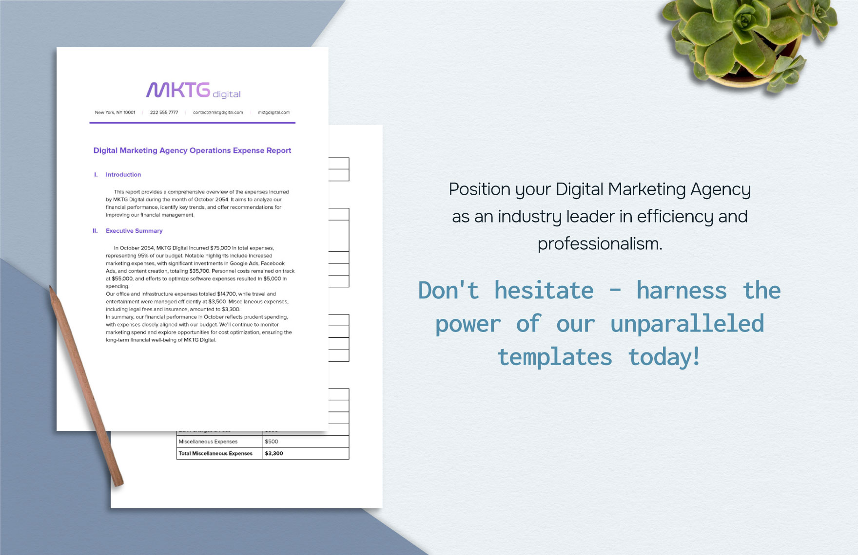 Digital Marketing Agency Operations Expense Report Template