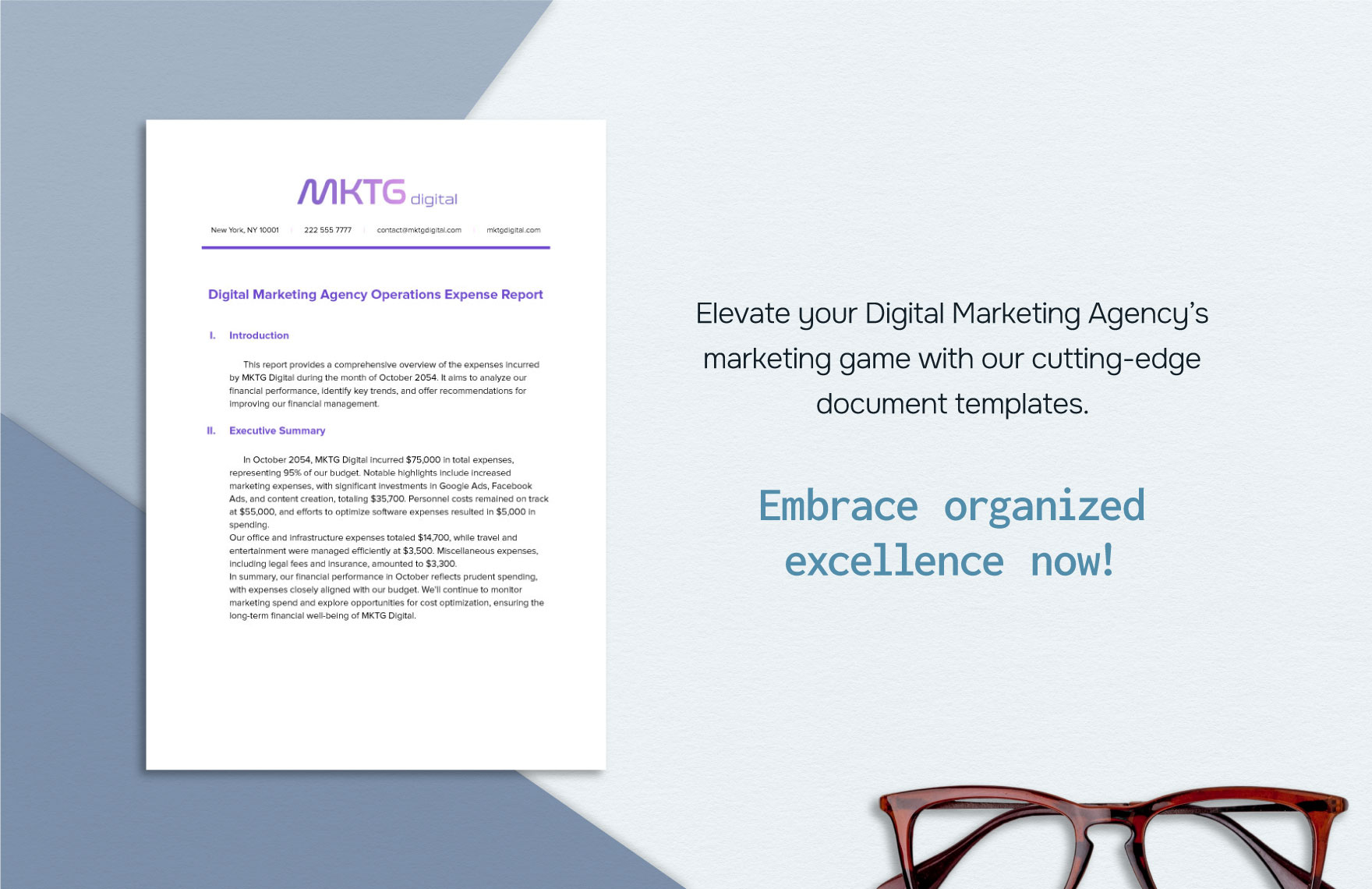 Digital Marketing Agency Operations Expense Report Template