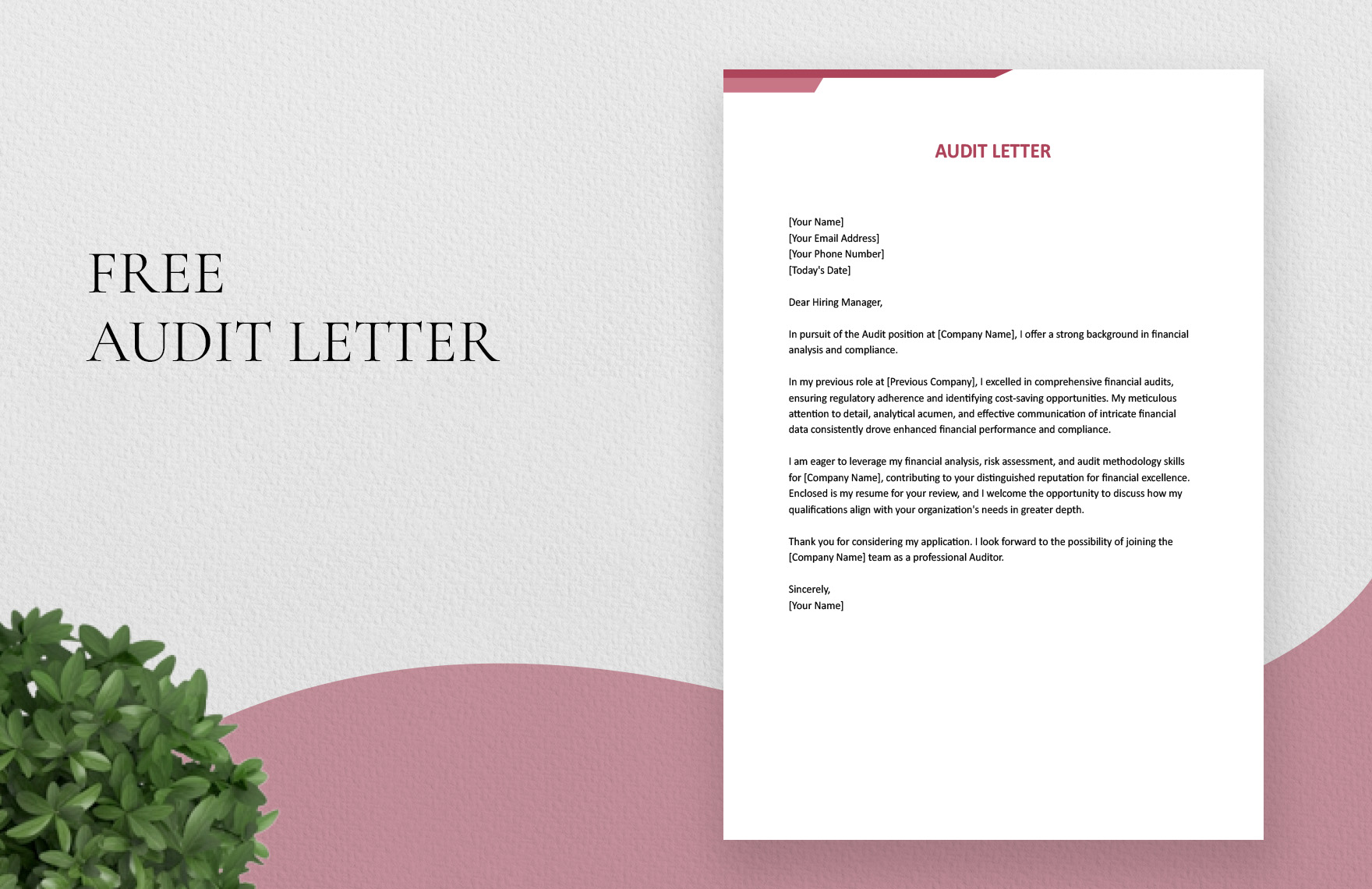 Audit Letter in Word, Google Docs