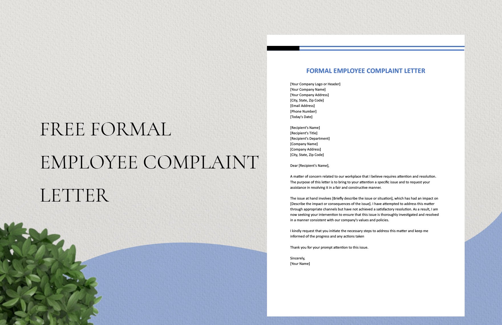 Formal Employee Complaint Letter