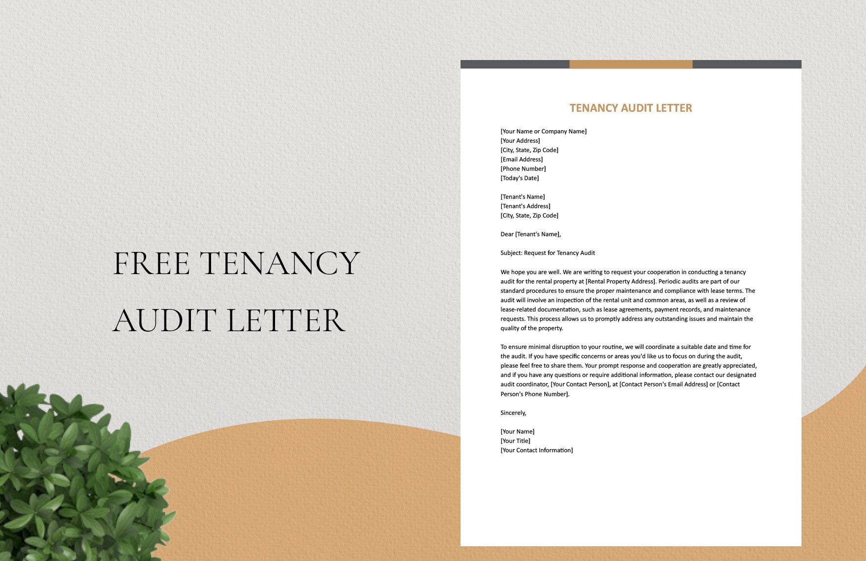 Tenancy Audit Letter
