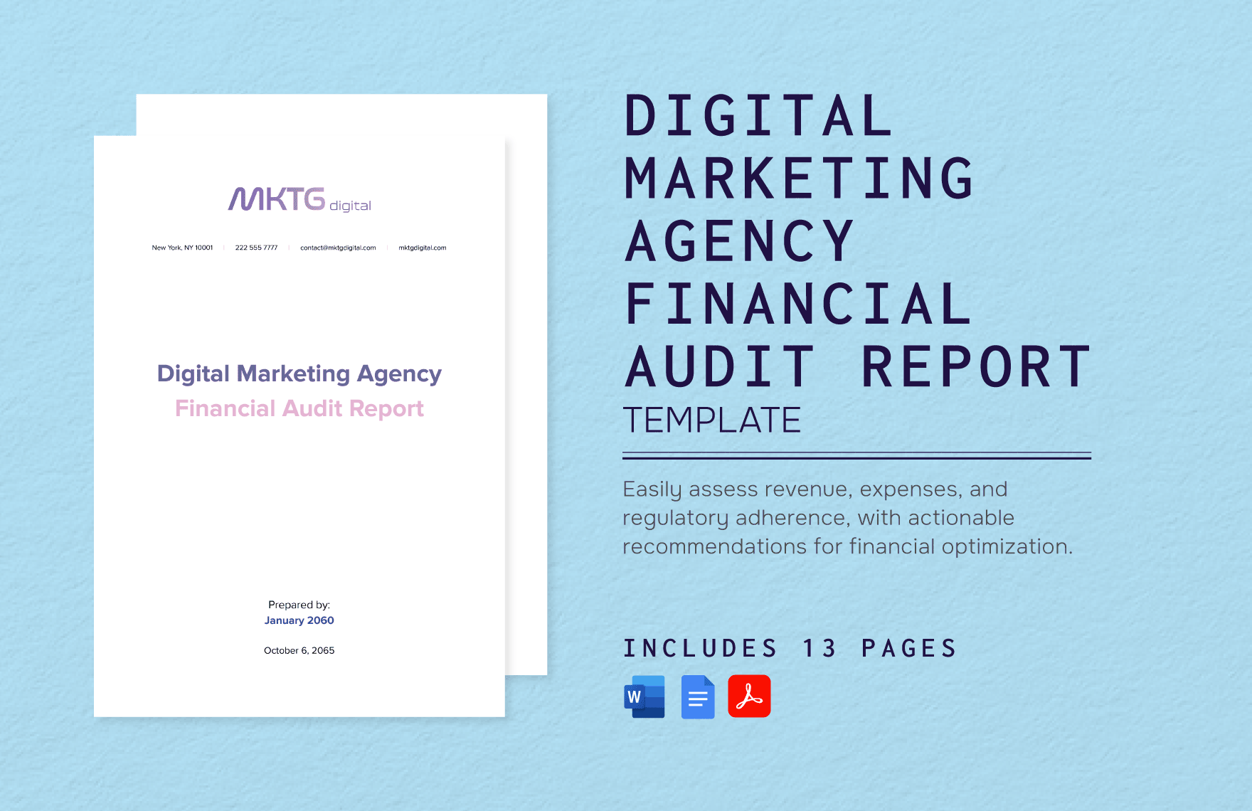 Digital Marketing Agency Financial Audit Report Template