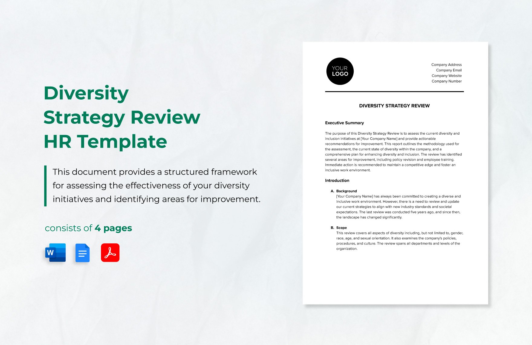 Diversity Strategy Review HR Template in Word, Google Docs, PDF