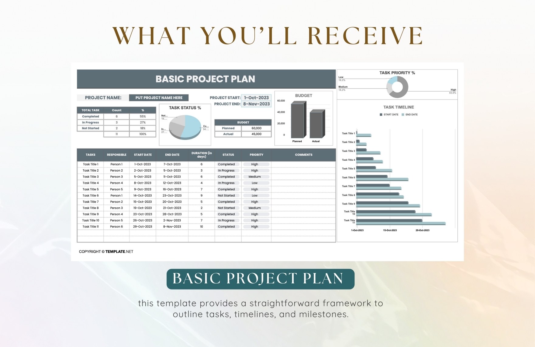 Basic Project Plan Template