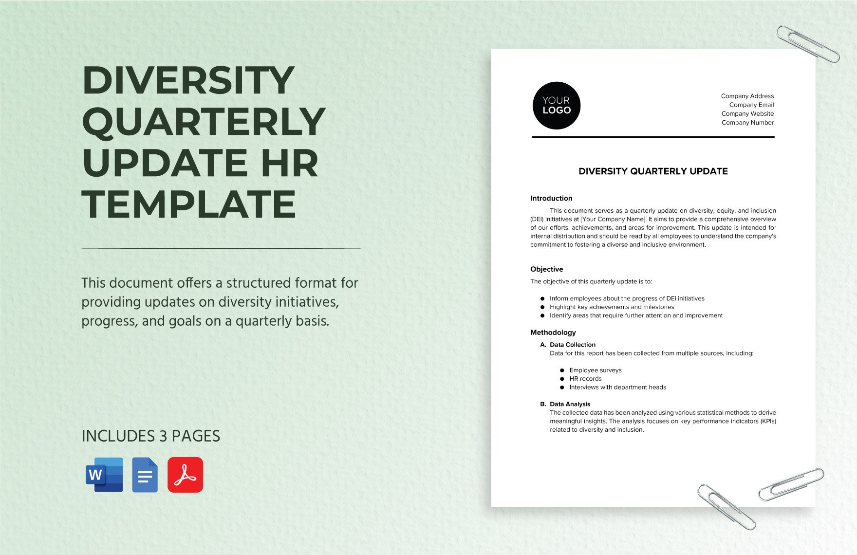Diversity Quarterly Update HR Template in Word, Google Docs, PDF