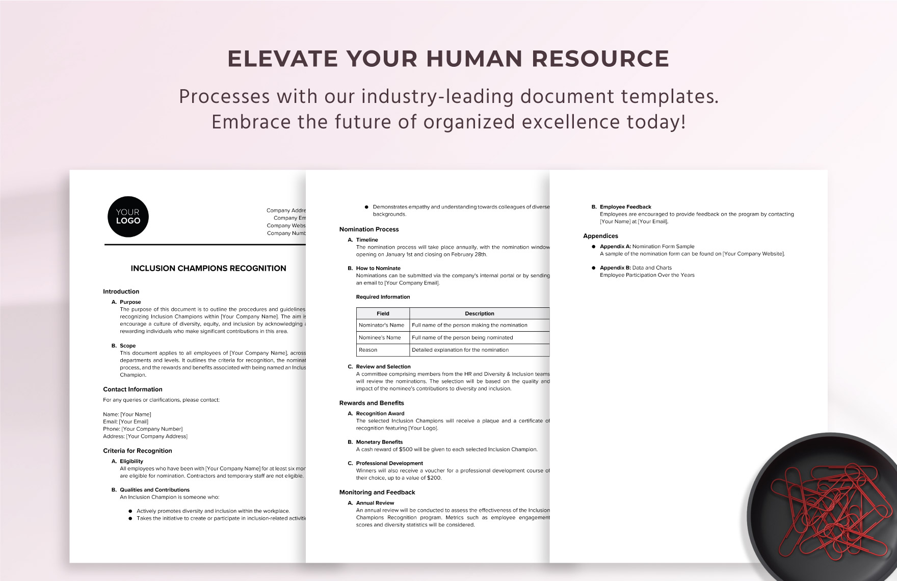 Inclusion Champions Recognition HR Template