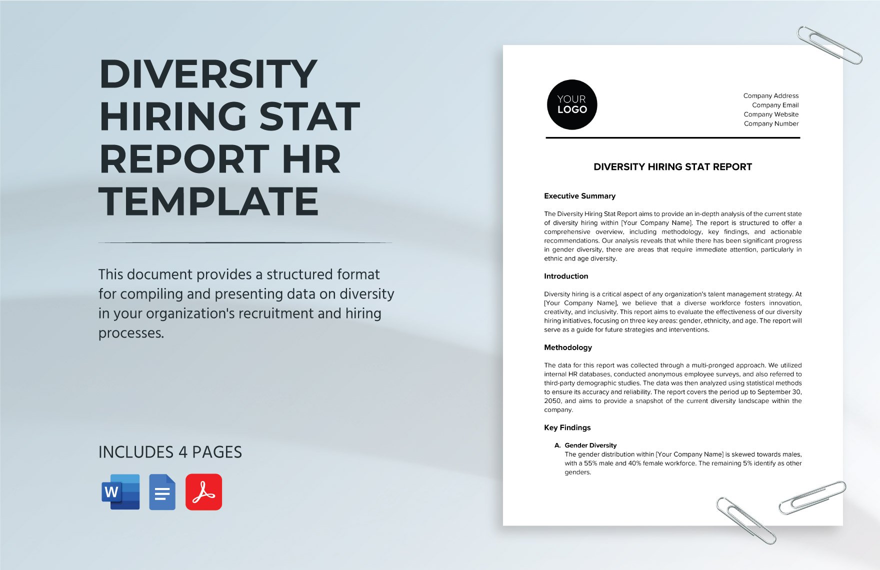 Diversity Hiring Stat Report HR Template